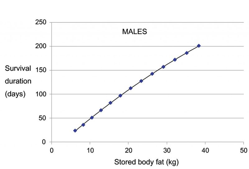 Starvation Survival Rates for Males of various Weights