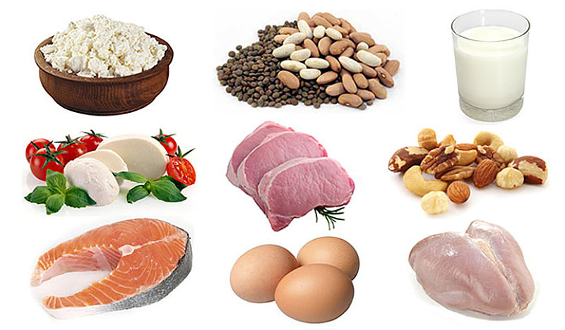 Protein can be sourced from a wide range of foods with choices about calories and fat