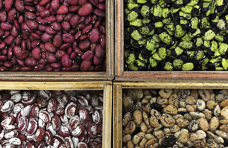 Most bean varieties are a rich source of fiber and protein, but they are also rich in calories