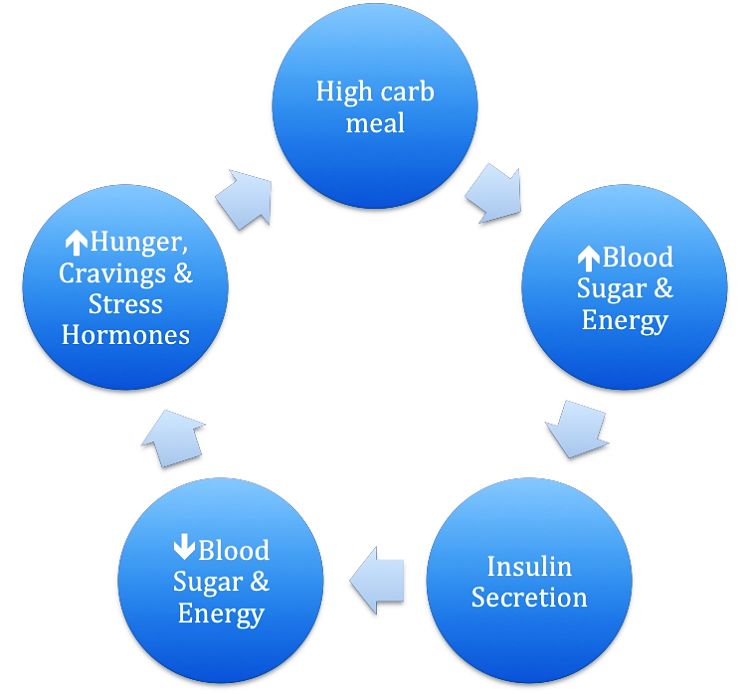 The Carb Hunger Overeat Hormone Cycle
