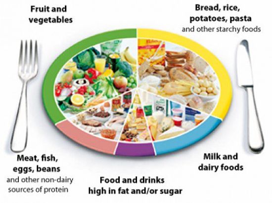 The Healthy Food Plate - make wise choices for every meal
