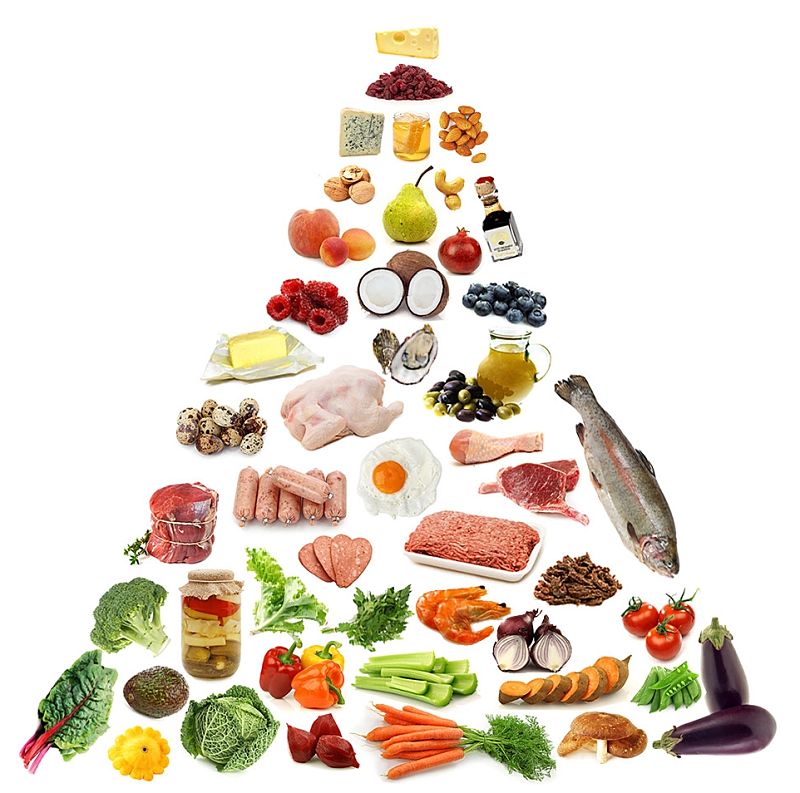 The Paleo Food Pyramid - Natural foods and protein