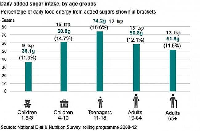 Added Sugar in the Average Diet of Various Age Groups