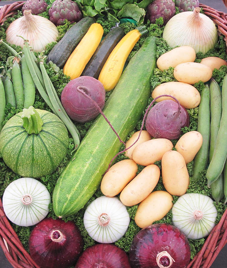 Which vegetables are the healthiest?