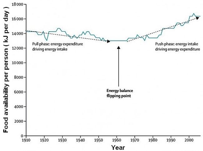 Change in food availability in the 1970's