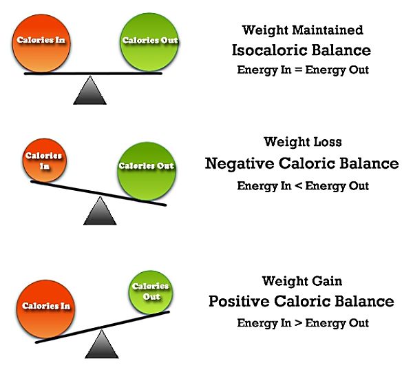 To lose weight you need to burn more calories than you eat and create a calorie deficit