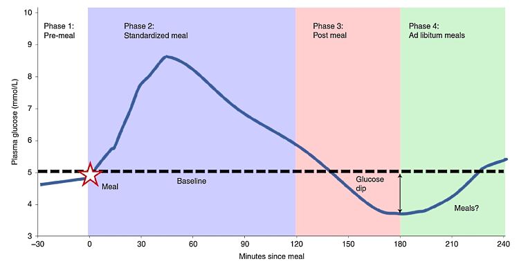 Big dips in blood sugar levels triggers hunger pangs and splurge on calories eaten in snacks