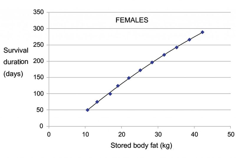 Survival Rates for Starving Females of Various Weights