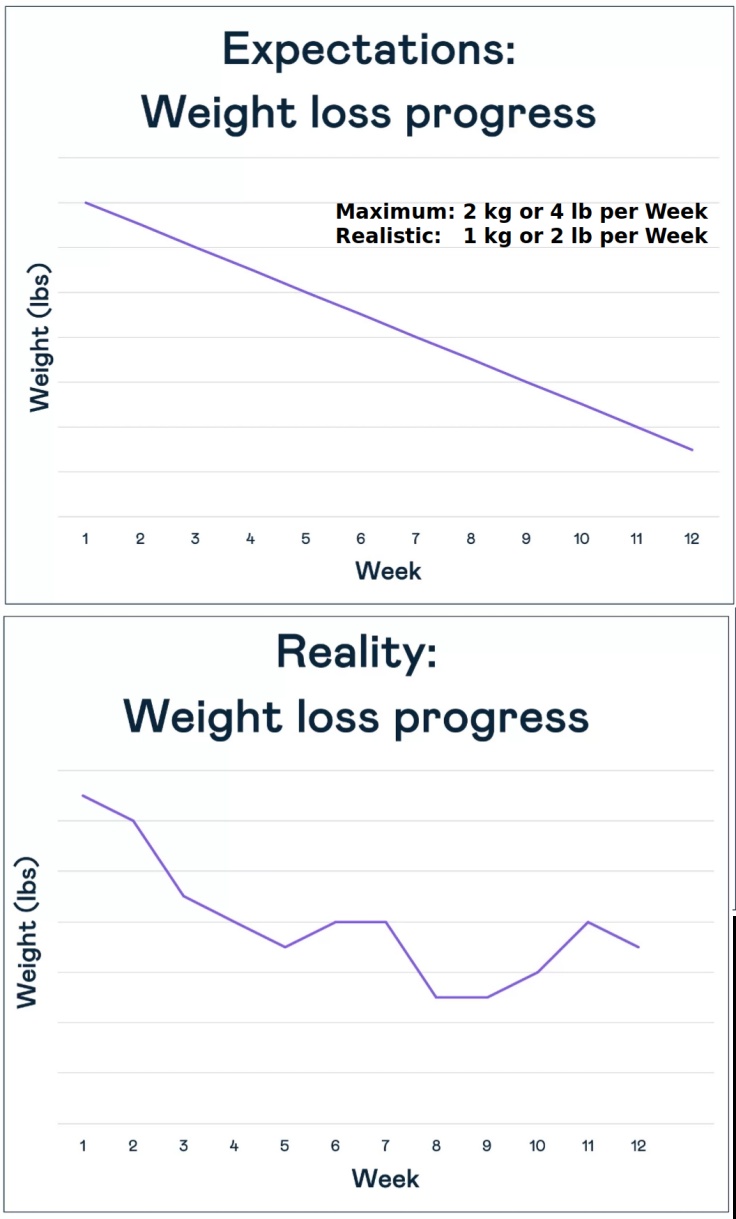 Planned Weight Loss Rate Expectation and Reality