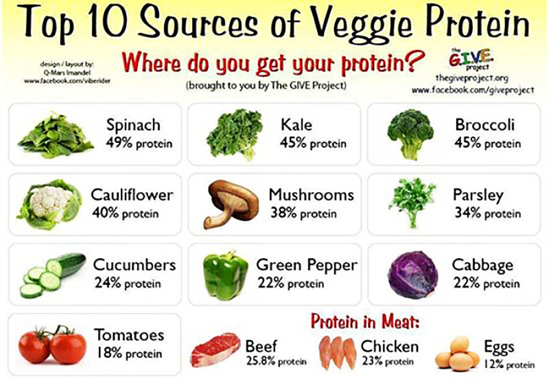 Vegan sources of protein