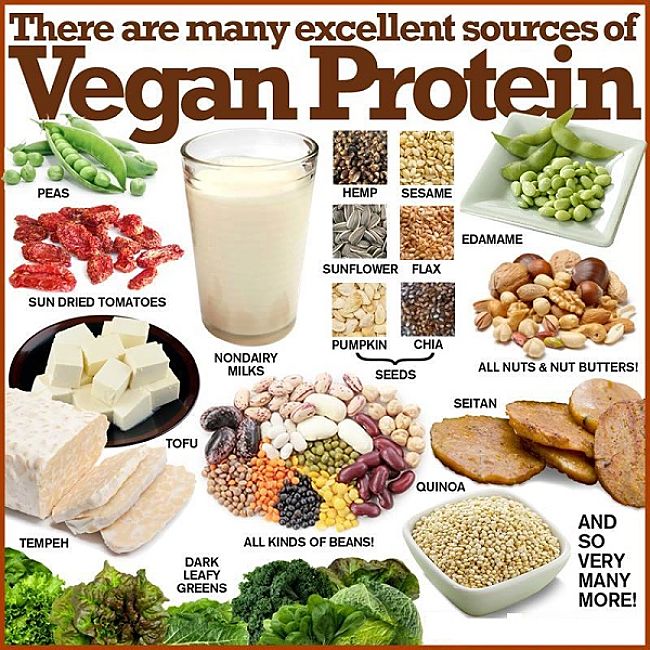 Vegan Protein Sources