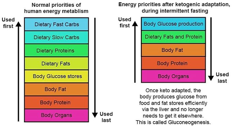 Intermittent Fasting Plan and schedule 4