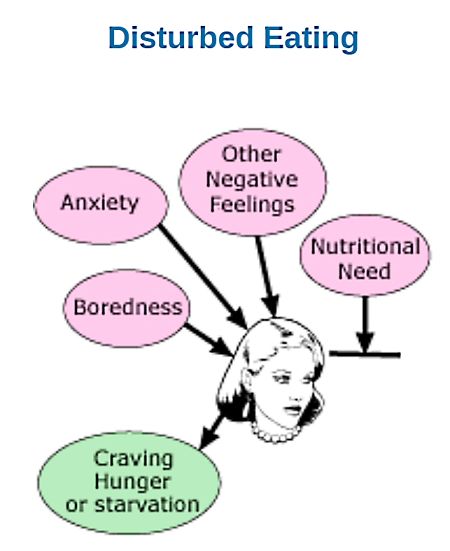 Disturbed Eating Patterns and Drivers