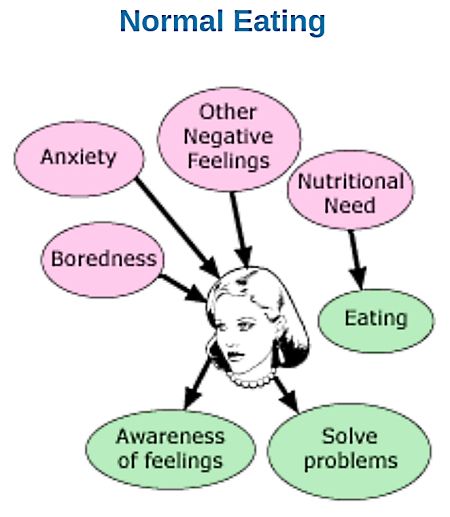 Normal Eating Patterns and Drivers