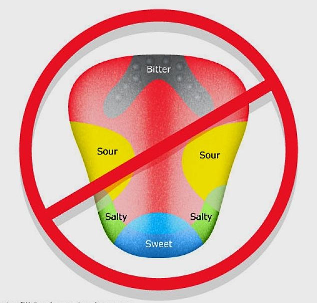 The famous tongue tasting zones map has been shown to be a myth