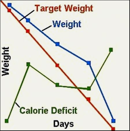 Keep your weight loss and maintenance program on track by monitoring your weight and calorie deficit