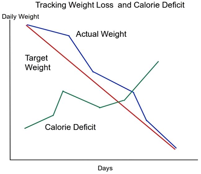The key to guaranteeing success is the track your weight loss progress