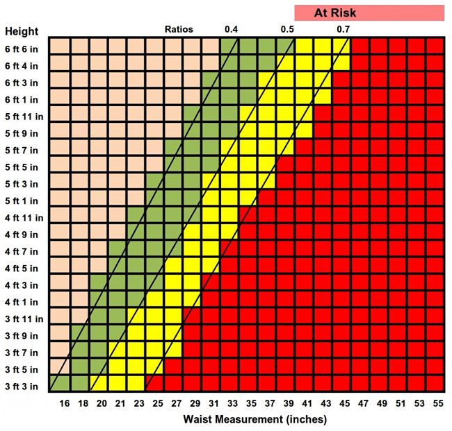 Waist Circumference to Height Measurements (feet and inches) to calculate ratios and risks